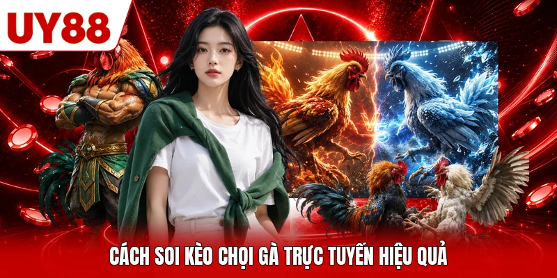 Cách soi kèo chọi gà trực tuyến hiệu quả